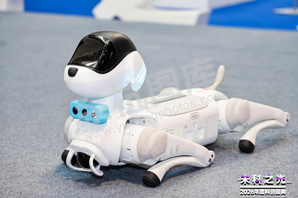 2026未科之光