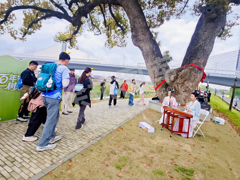 第二届苕溪文化风情带文旅嘉年华