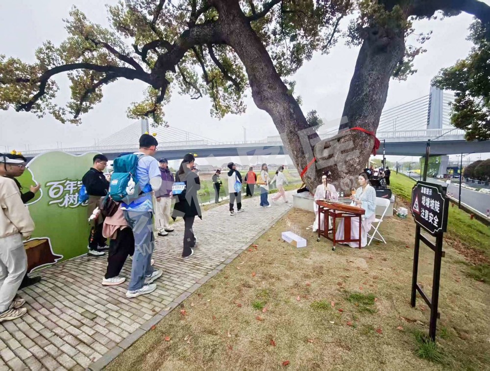 第二届苕溪文化风情带文旅嘉年华