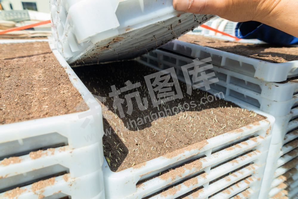 禹上稻乡激活春耕新动能