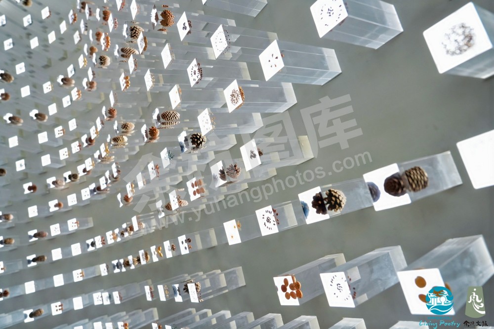 2026年全球旅行&ldquo;Living Poetry，AI Hangzhou&rdquo;推广活动暨&ldquo;余杭好地方&rdquo;文旅