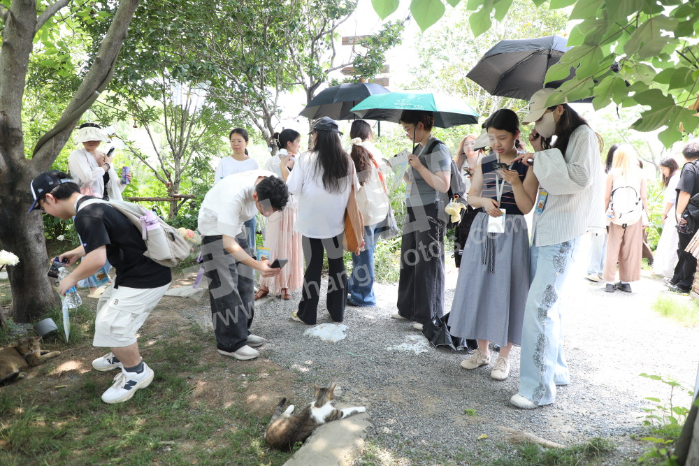 &ldquo;艺术科技融合赋能高桥乡村创意产业发展工作营&rdquo;走进高桥村