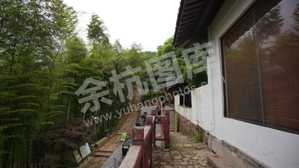 径山抹茶体验中心