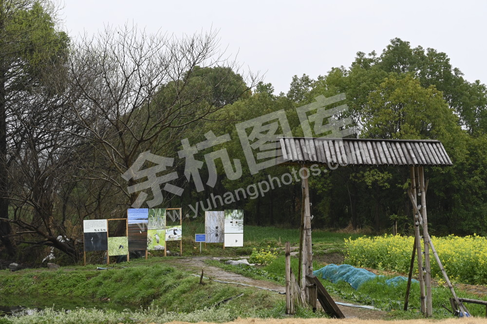 良渚暖村活动