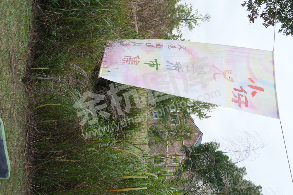 良渚暖村活动