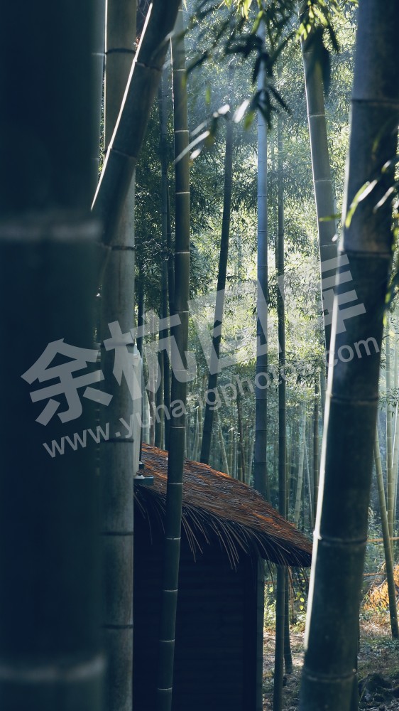 竹林山庄+里舍看山
