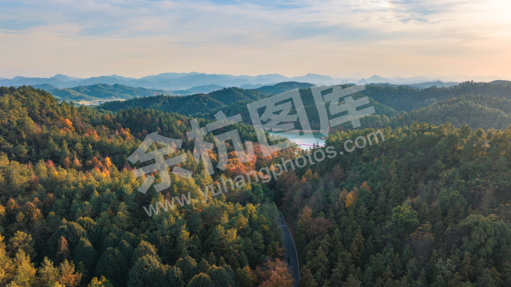 长乐林场