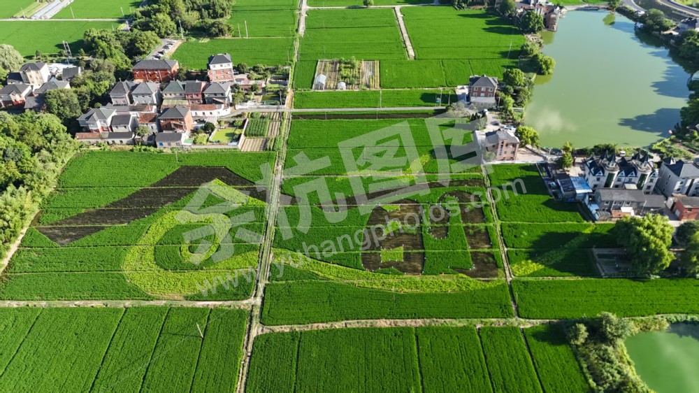 土桥塆大地景观