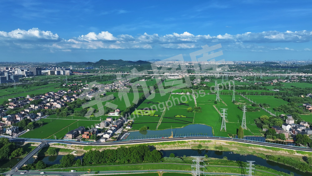 高池畈大地景观