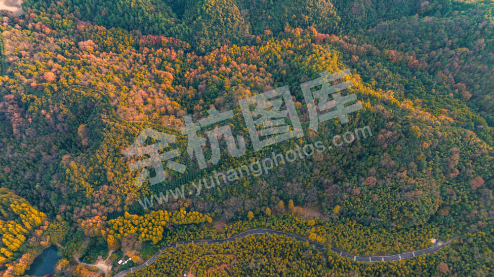 长乐林场