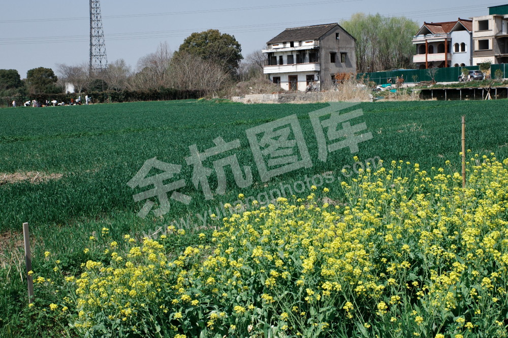 良渚暖村活动