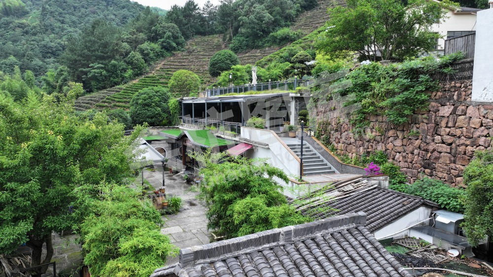 心无尘
