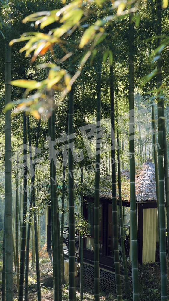 竹林山庄+里舍看山