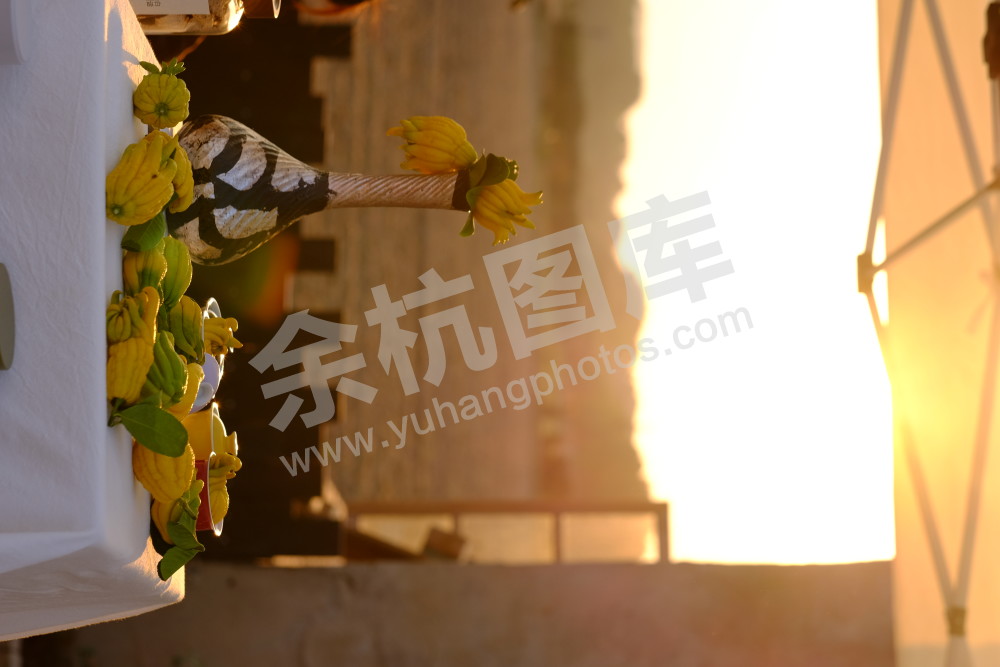 良渚暖村活动