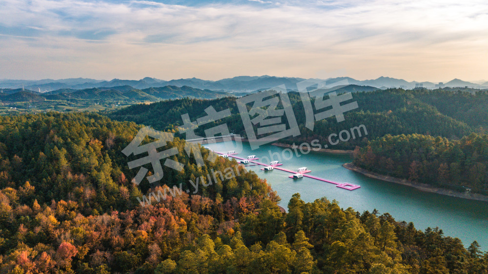 长乐林场