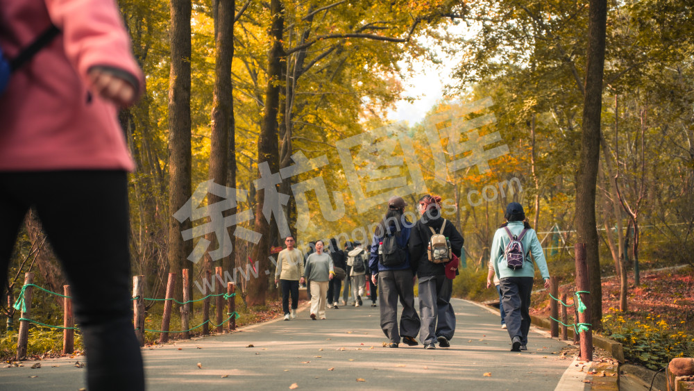 长乐林场