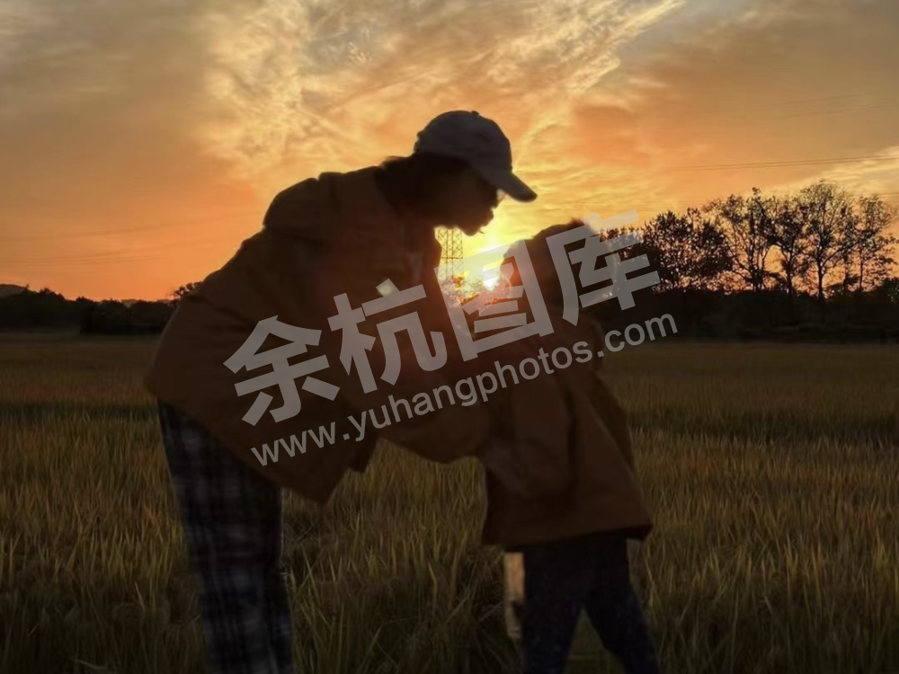 良渚暖村