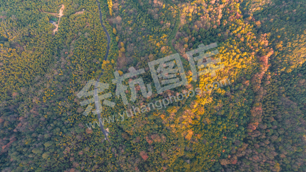 长乐林场
