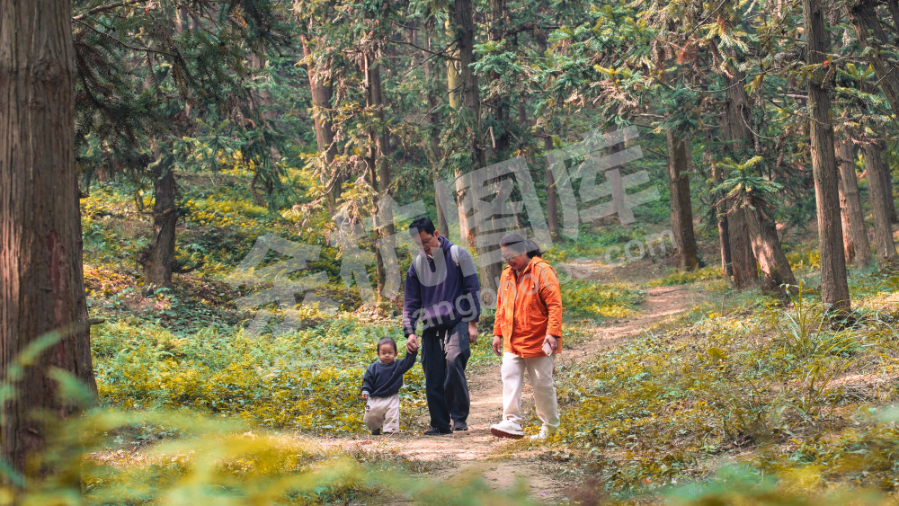 长乐林场