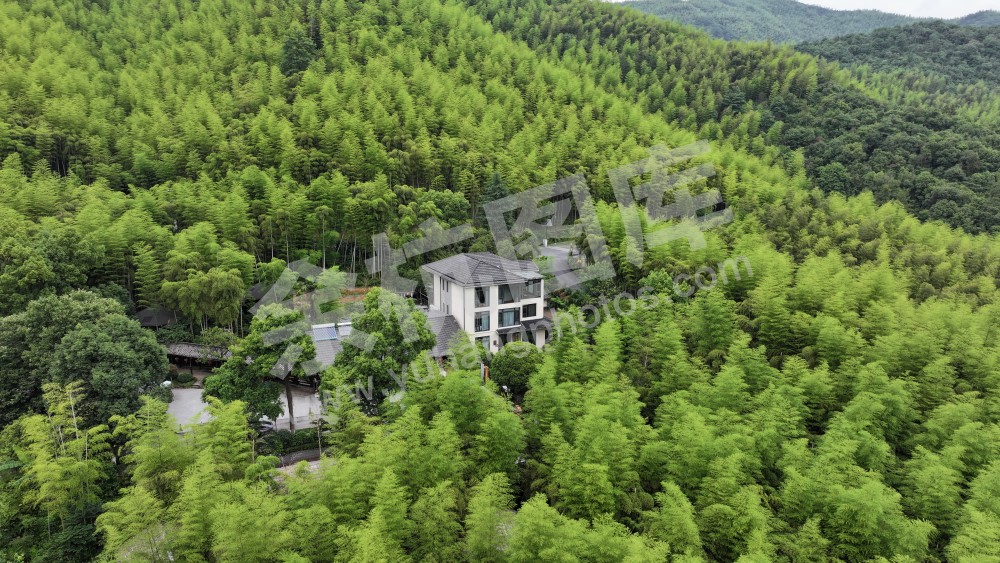 竹林山庄+里舍看山