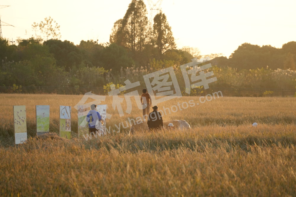 良渚暖村