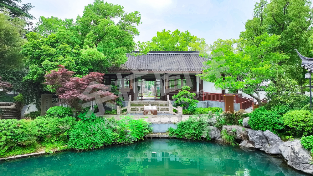 陆羽泉