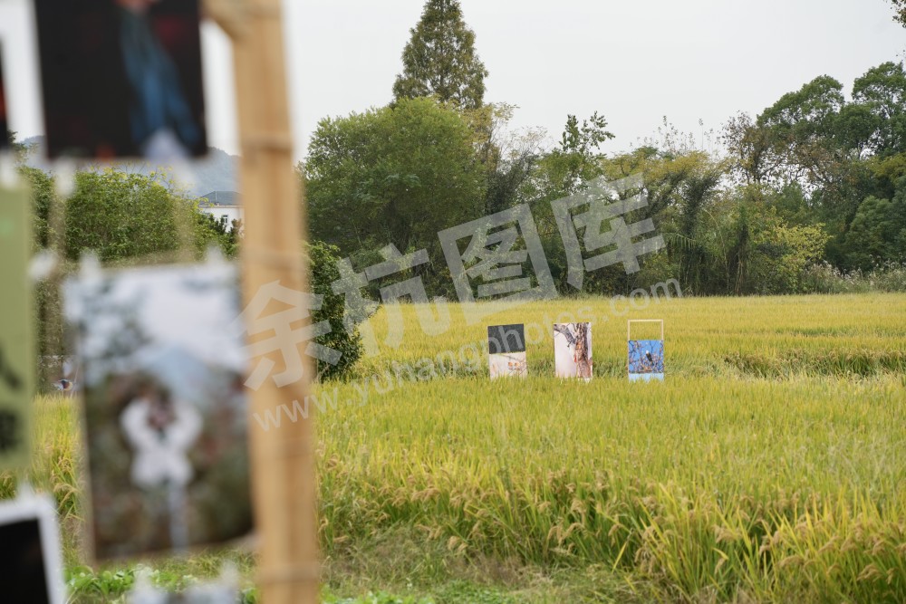 良渚暖村活动