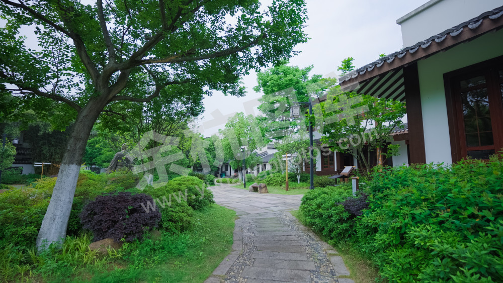 陆羽泉