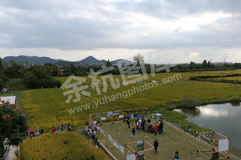 良渚暖村