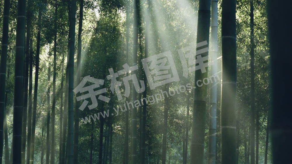 竹林山庄+里舍看山