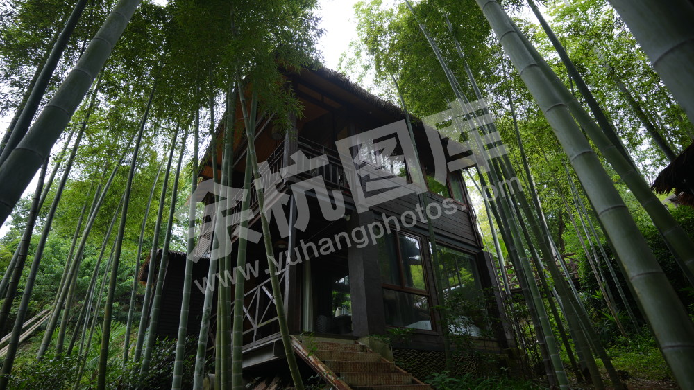 竹林山庄+里舍看山