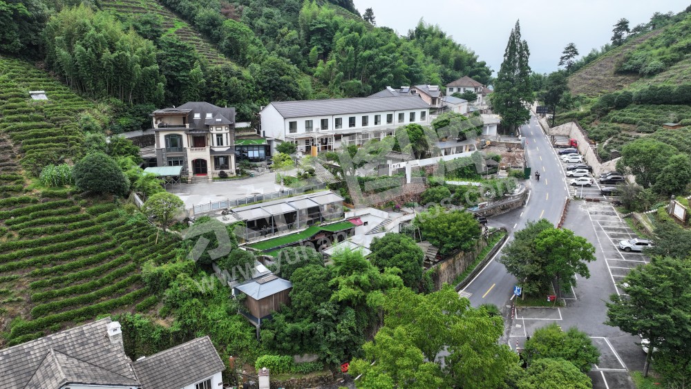 心无尘