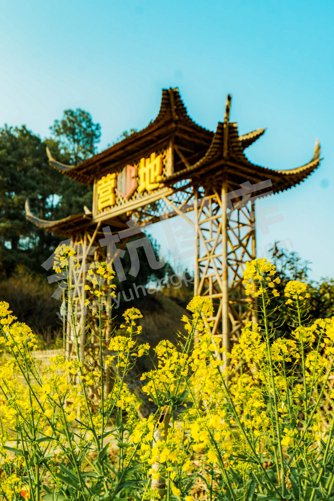 百丈