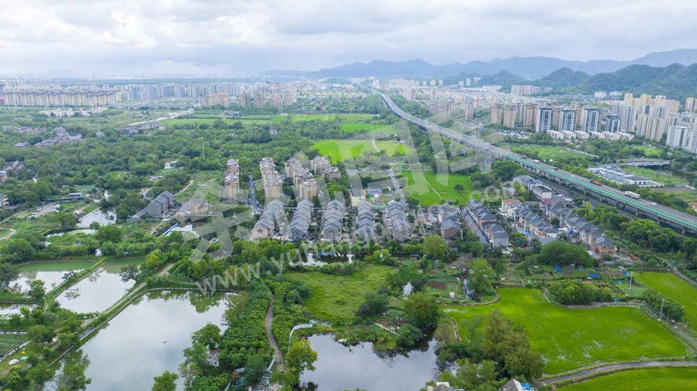 闲林和睦湿地 