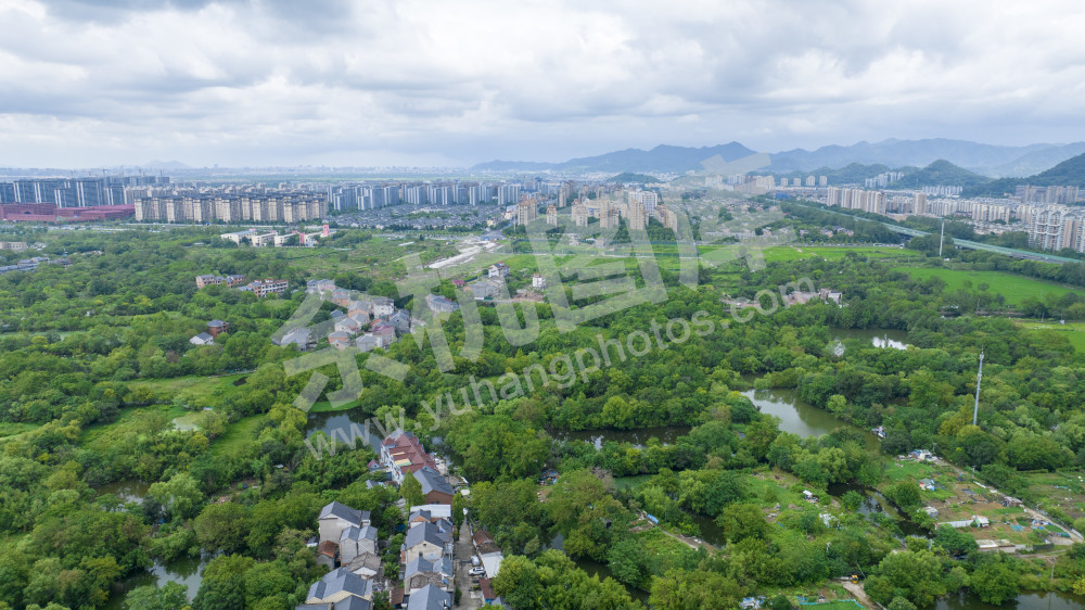 闲林和睦湿地 