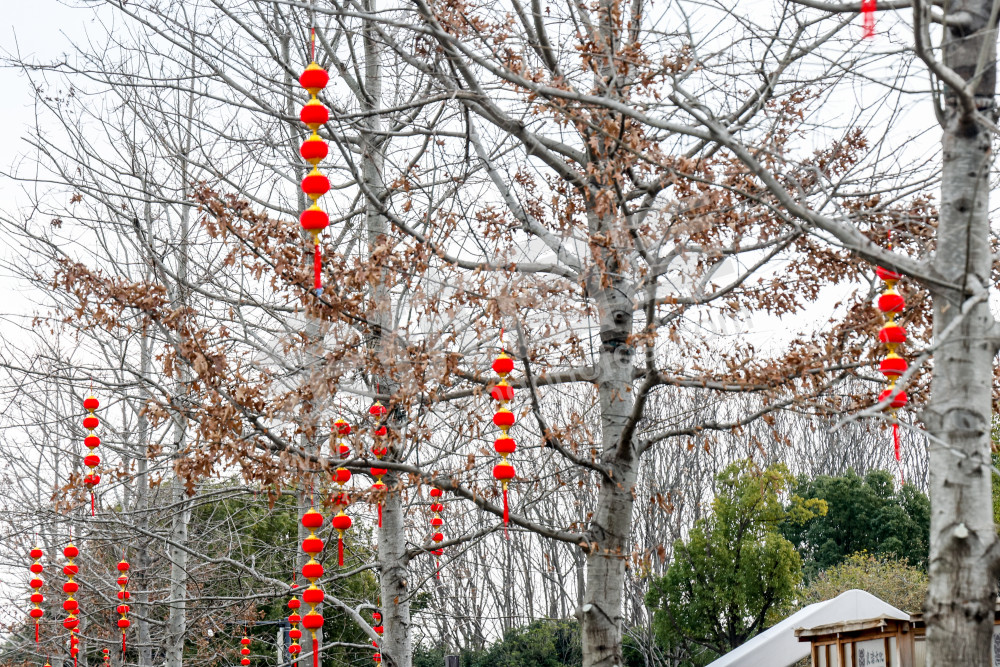 瓶窑马年灯笼、花灯