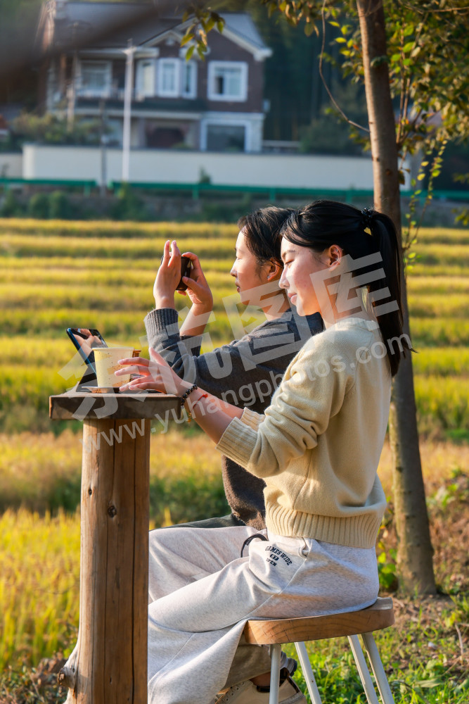 奇鹤村田间有座岛