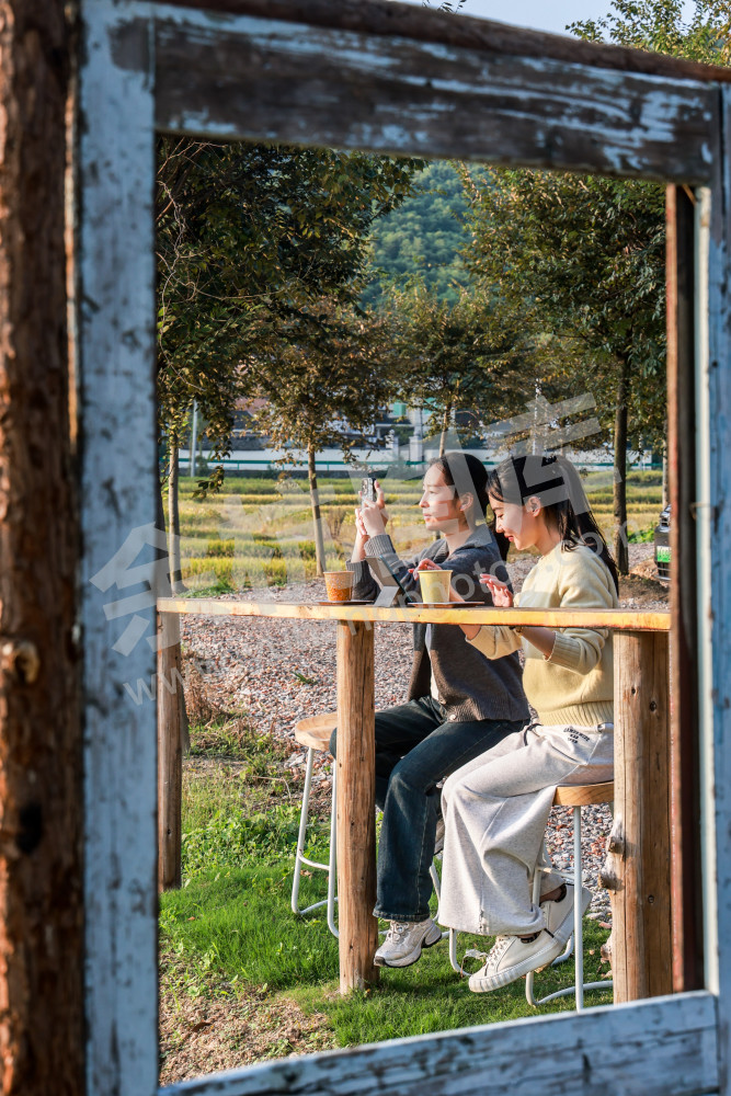 奇鹤村田间有座岛