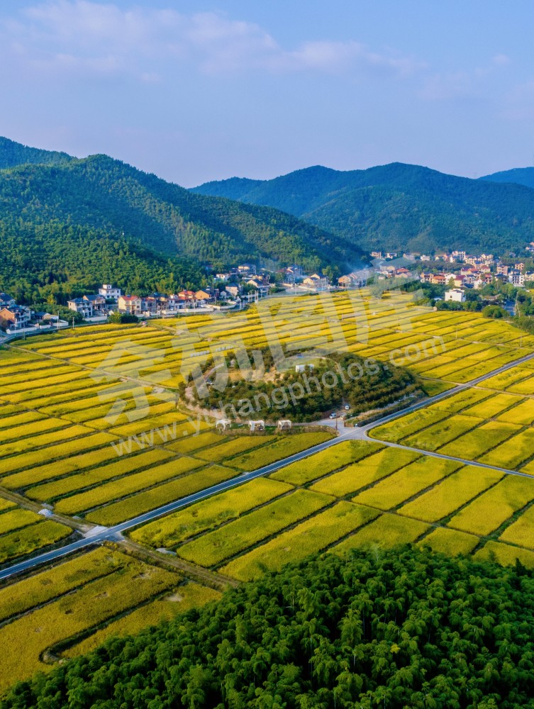 奇鹤村田间有座岛