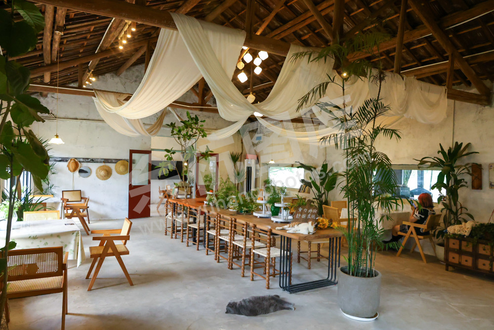 竹园村树下餐咖