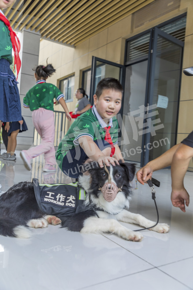 百丈小学