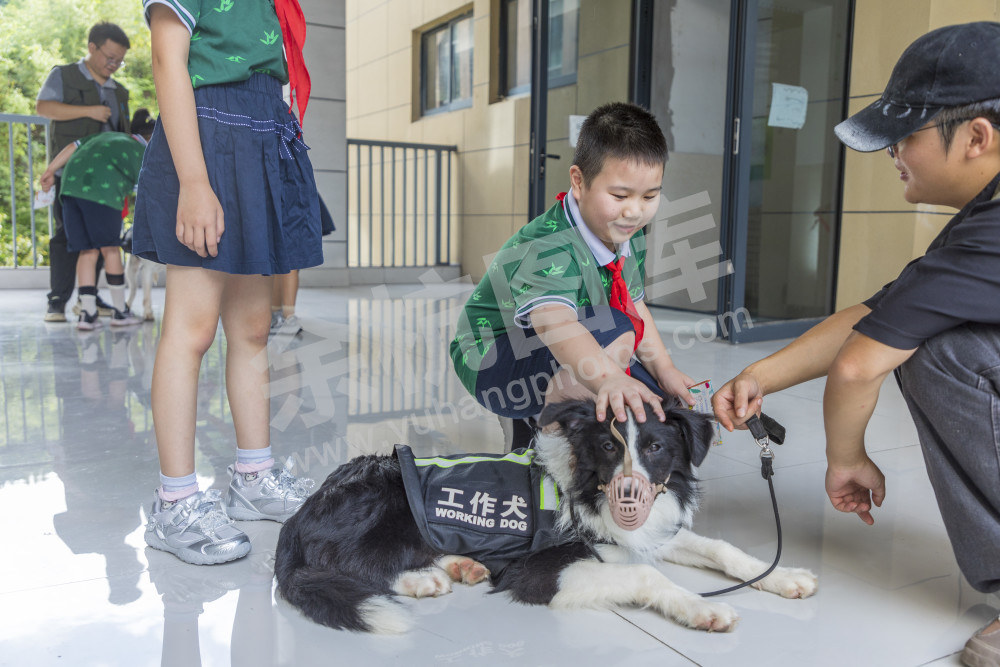 百丈小学