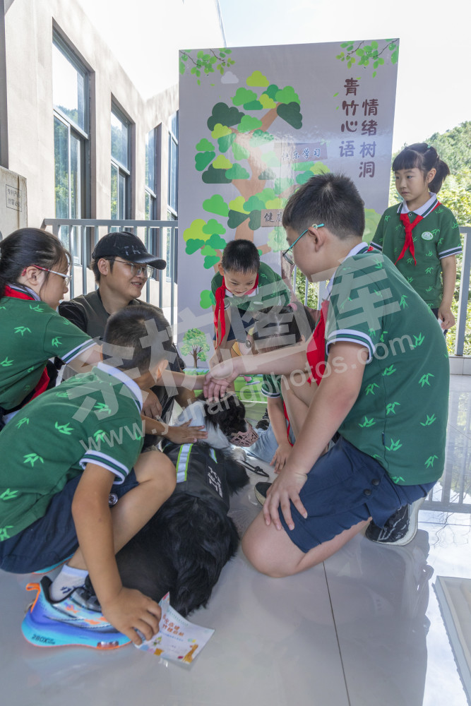 百丈小学
