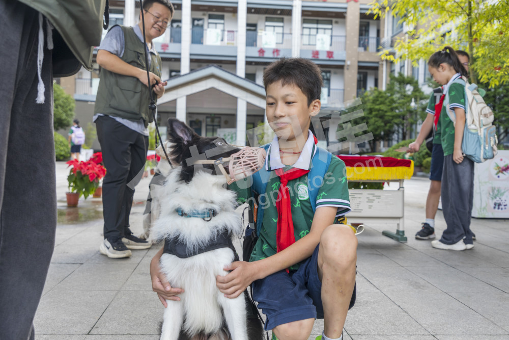 百丈小学