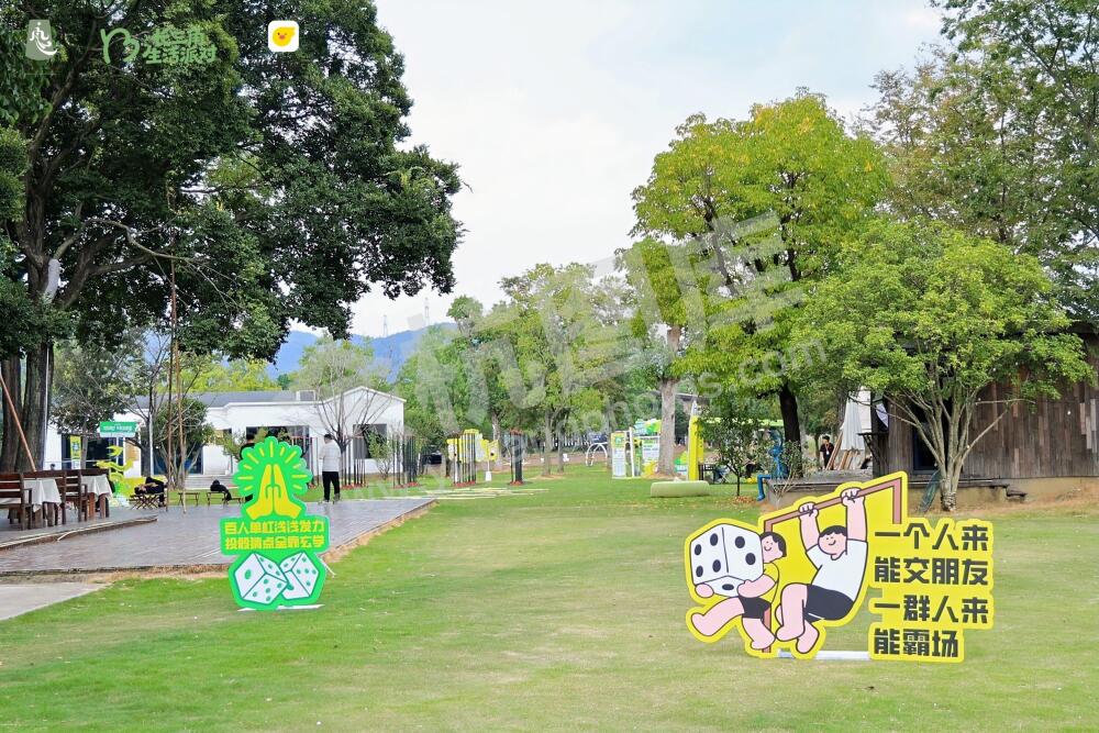 长三角生活派对｜放风派对・杠骰突围赛