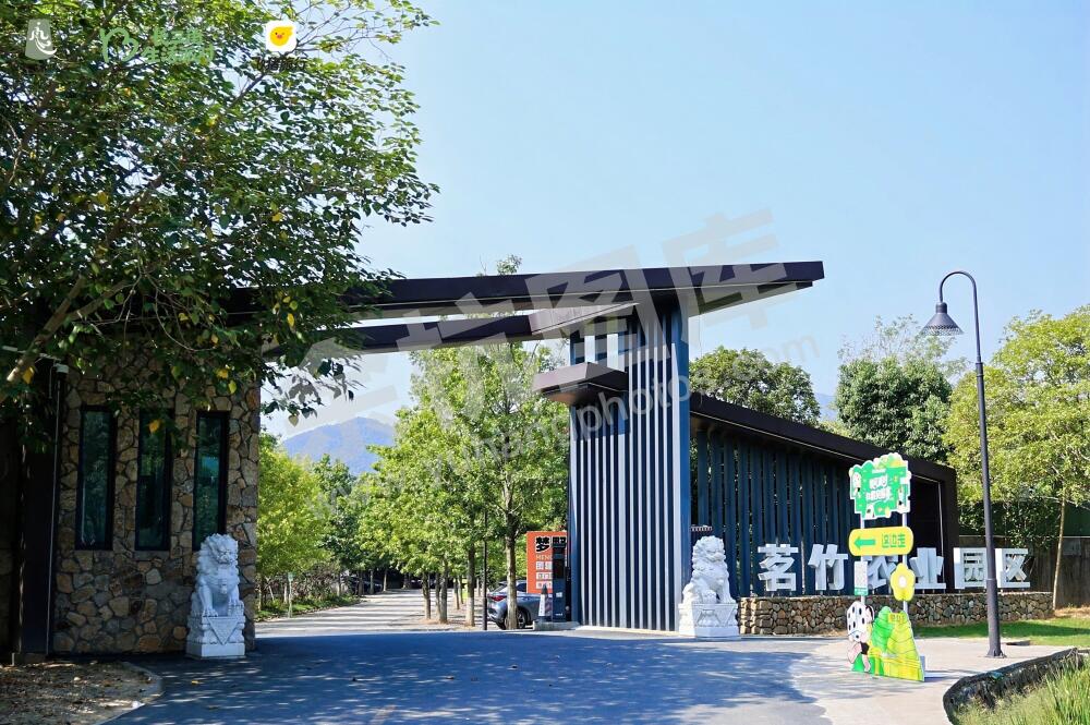 长三角生活派对｜放风派对・杠骰突围赛