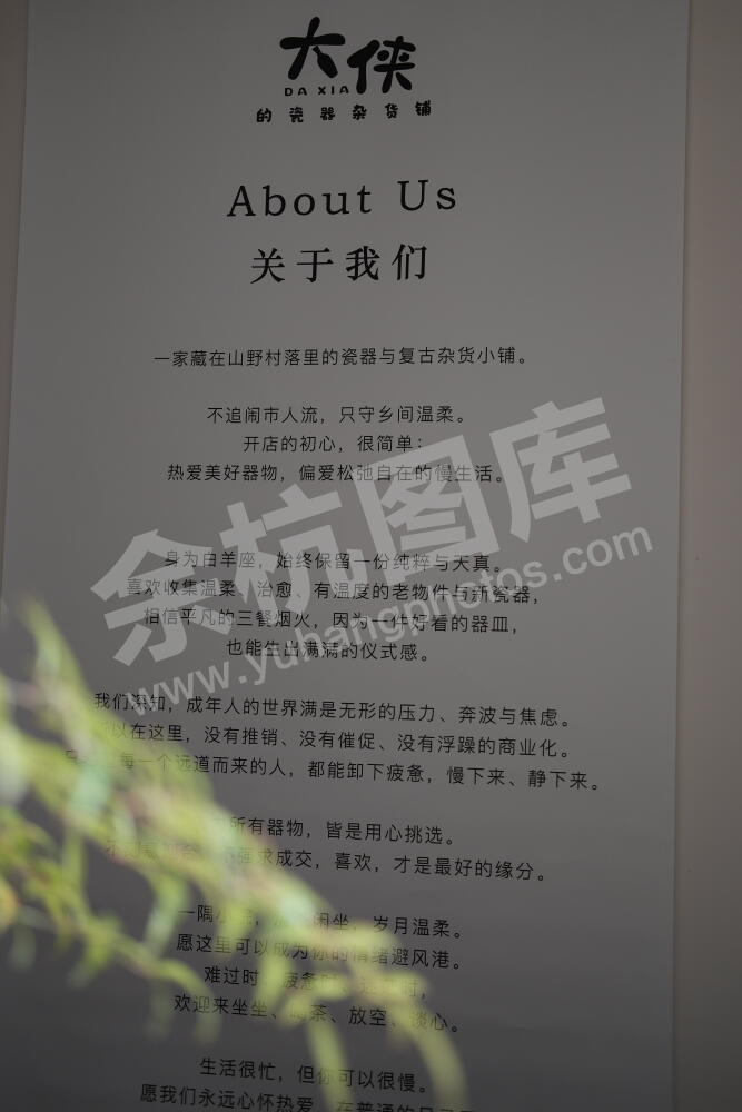 大侠瓷器杂货铺