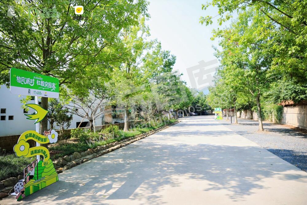 长三角生活派对｜放风派对・杠骰突围赛